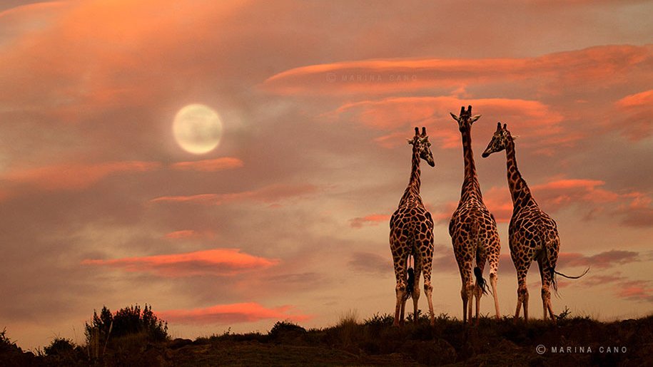 .
No midas tus tiempos con relojes ajenos. 

#abundancia #photography 
#SembramosFuturo #sundayvibes 
#leoescuchate escuchate.es