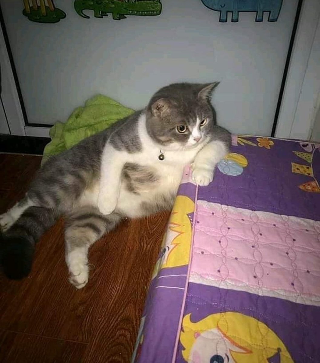 ulat_bulu_bulu's tweet photo. Rasa nak cari duit poket lebih la. Jual apa eh yang laku? https://t.co/6oYtG9R2nT