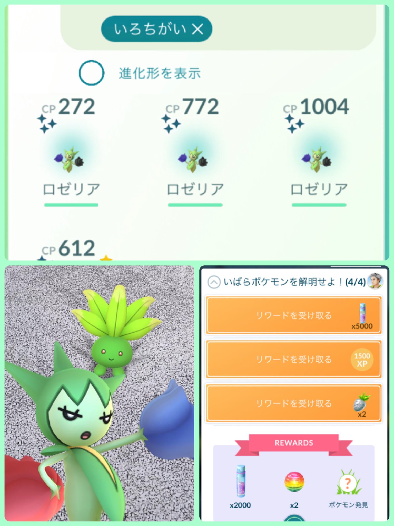 ゆゆ ロゼリアコミュデイお疲れ様です 今回もまったり参戦 色違いは1匹持ってたけど進化用に欲しかったのでgetできて良かった 写りこんで来てるの可愛い ポケモンgo 色違い ロゼリア コミュニティデイ T Co Mzohzltxka Twitter