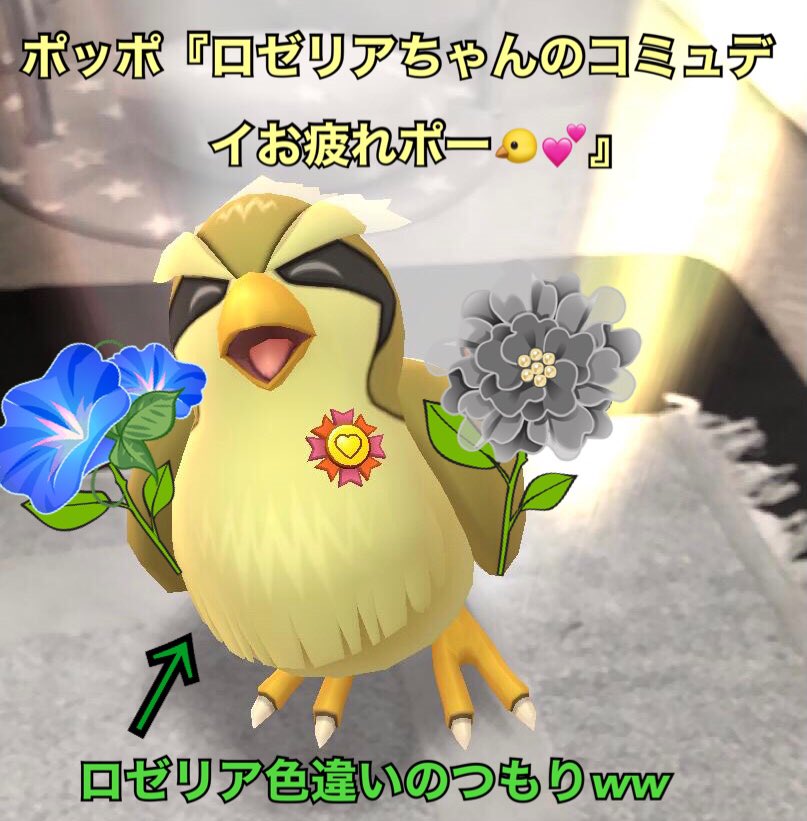 ゃどん子 Pgo 色んなポケモンのポッポちゃん 楽しそうですね 今は さんに 返信でも可愛いです ゃどん子 Pgo 色んなポケモンのポッポちゃん 楽しそうですね 今は さんに 返信でも可愛いです