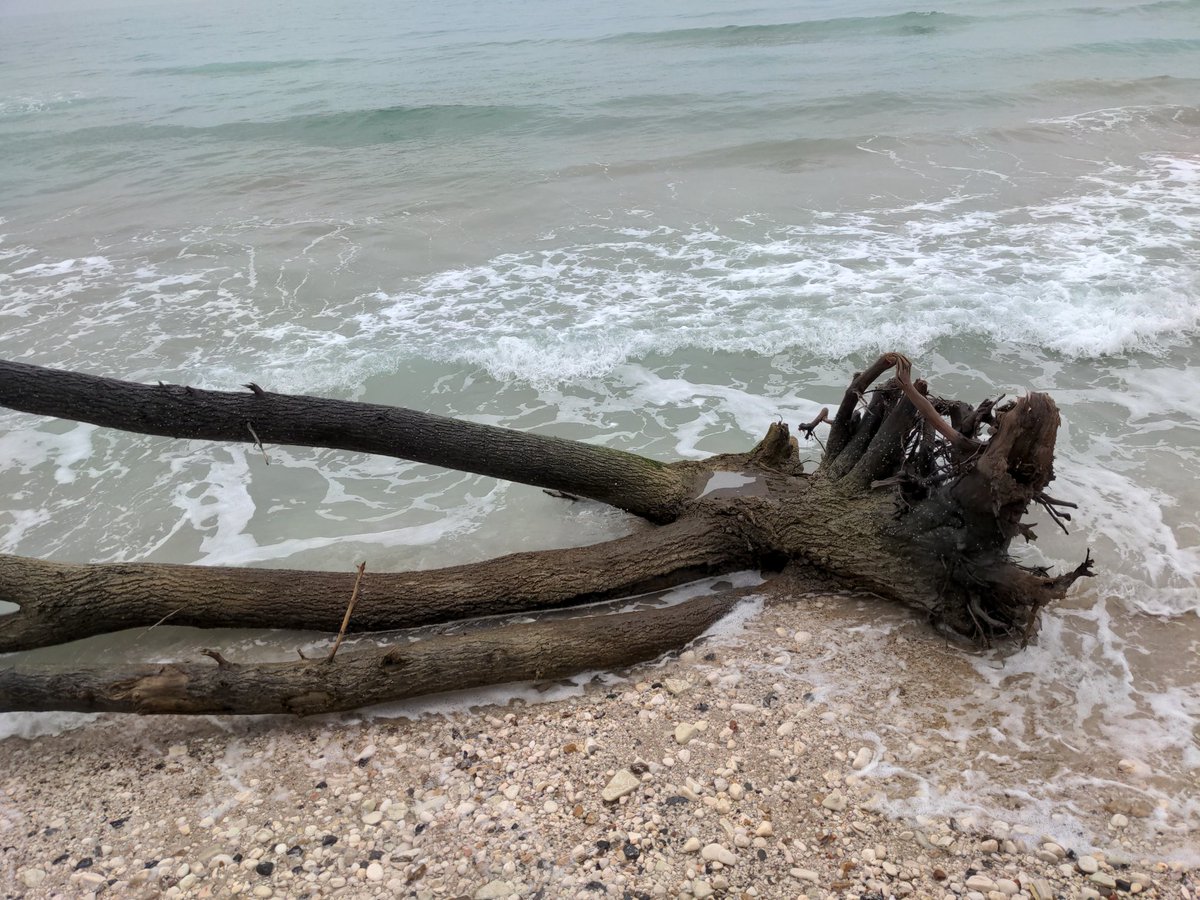 Nello Biscotti (@nbisccotti) on Twitter photo 