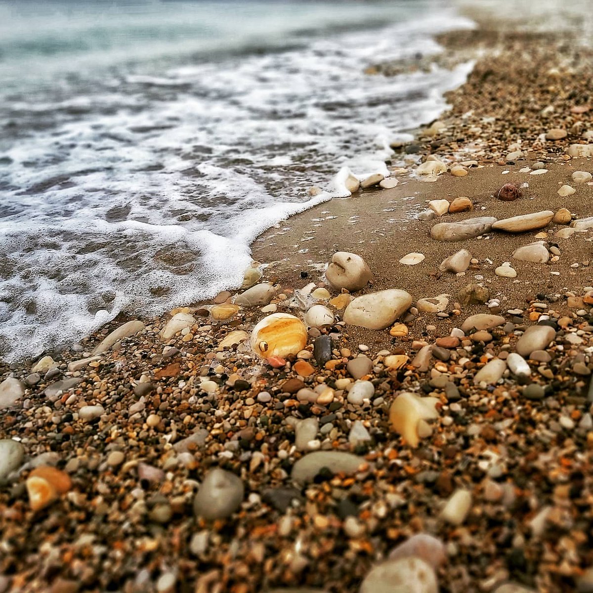 zeynox's tweet photo. Deniz kenarΔ±nda kayΔ±p balΔ±k #Nemo buldum, sahile vurmuΕ... #ifoundnemo #iseestories https://t.co/WP8JzvF5Dq