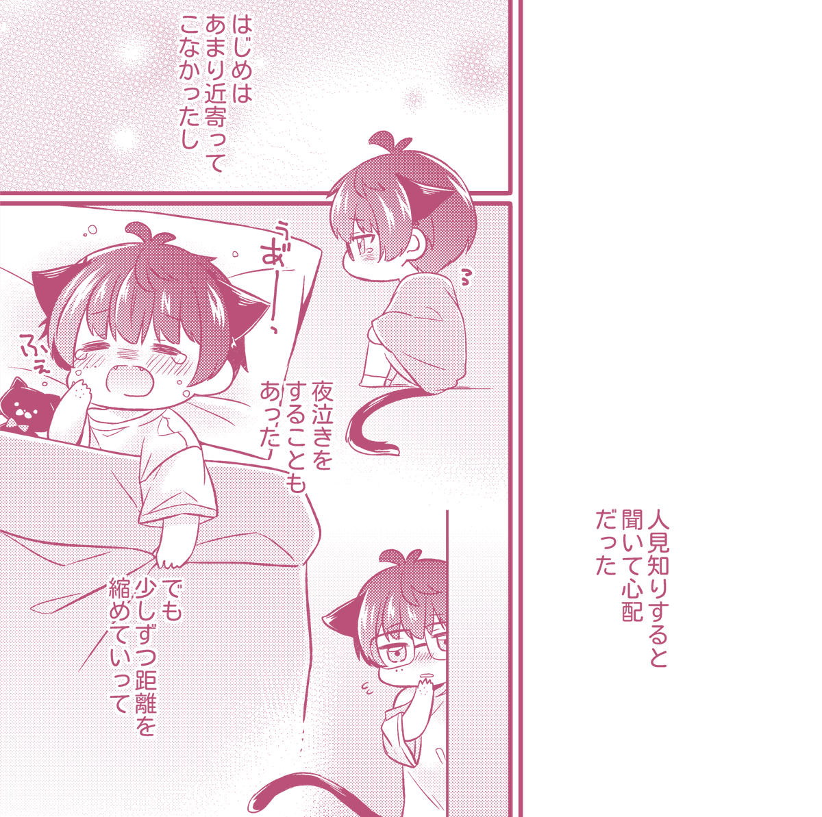 くわに貰われてきたばかりの頃のこねこて 