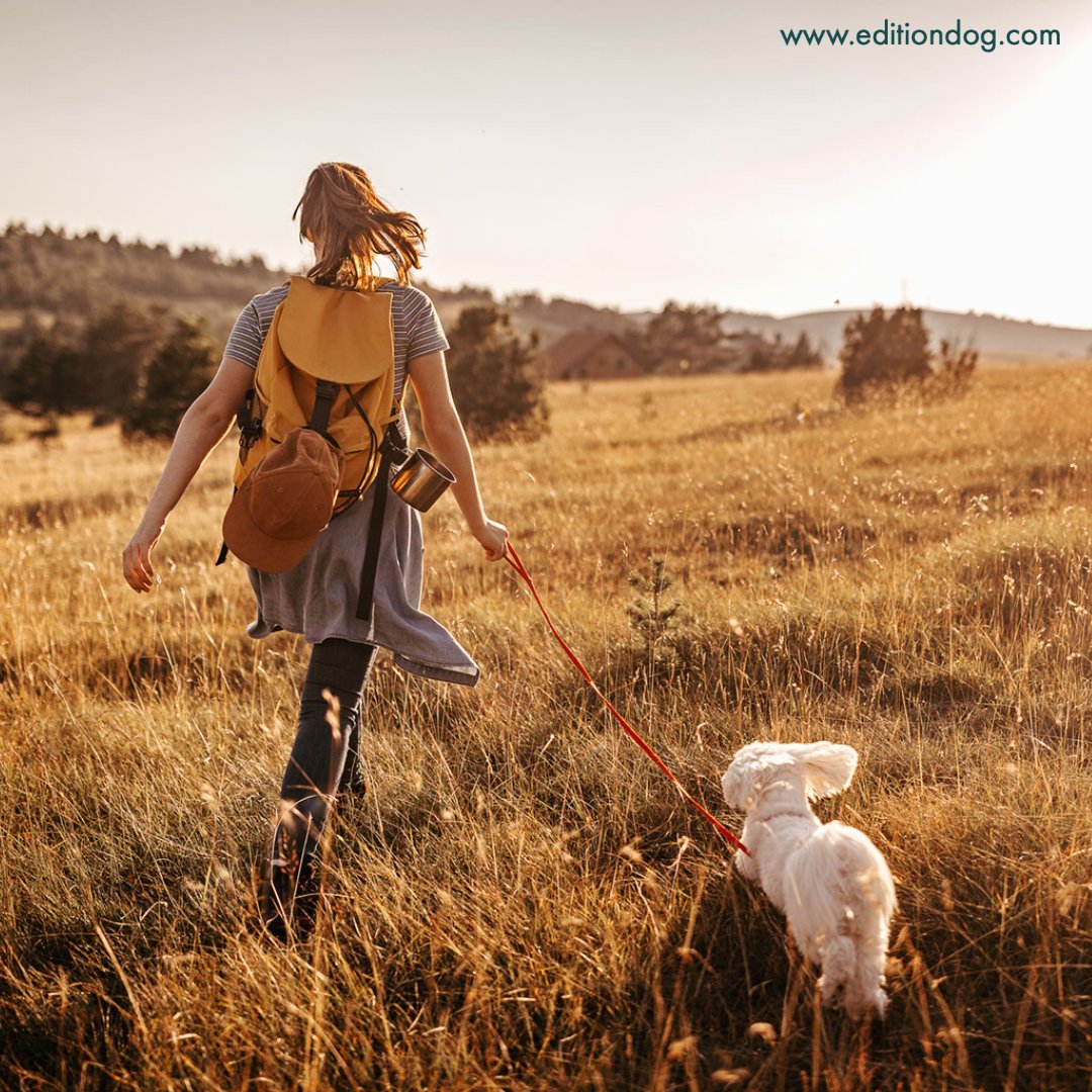 ”One way to get the most out of life, is to look upon it as an Adventure”

#SundayFunday 

editiondog.com