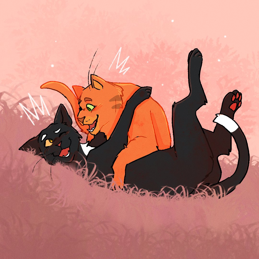 blaakycat's tweet photo. Some of my favourite Firestart ships 🥺 #firestar #fireheart #firesand #longfire #fireraven #ravenpaw #longtail #warriorcats https://t.co/urrVAUgKee