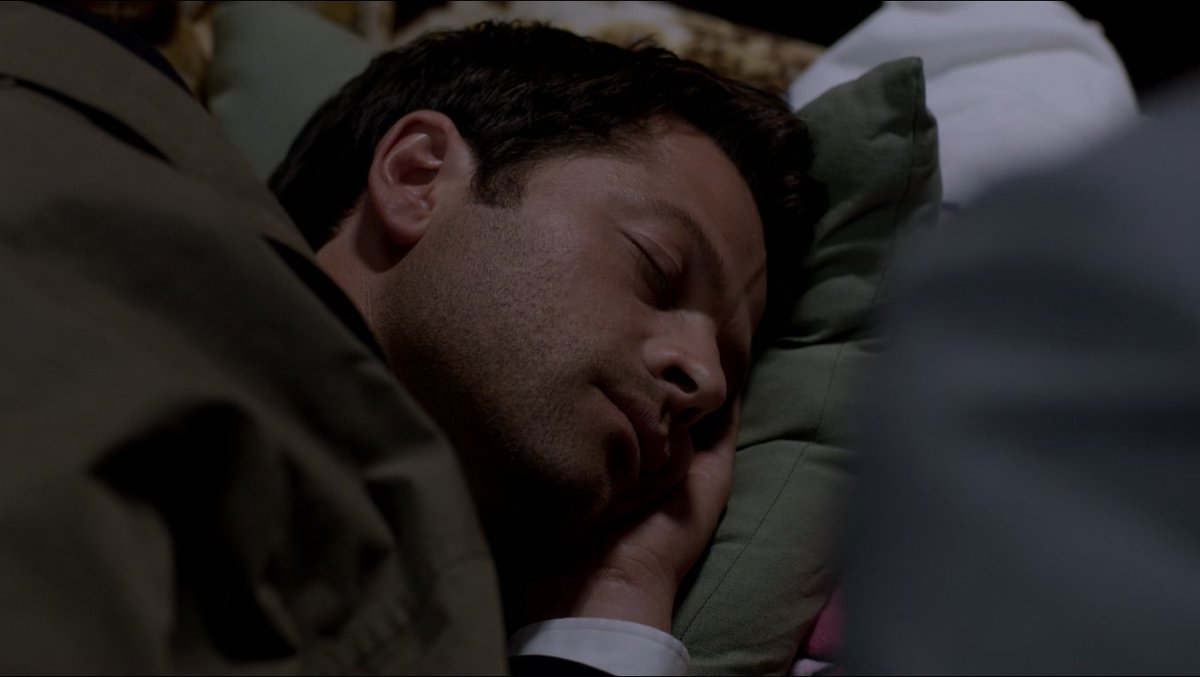 Амбивалентность эмоций. Картинка no sleep. He sleeps like. Кормушка для кота с таймером. Sleep like a boss.