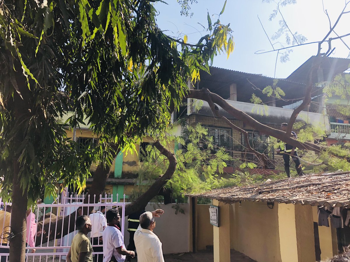 AgreRohini's tweet image. @NMMCCommr @NMMConline after multiple written complaints about the tree leaning in there were no action taken and today the same tree fell in our compound suddenly, our roof and gate has seen great loss and damage. Fire dept is already on site.