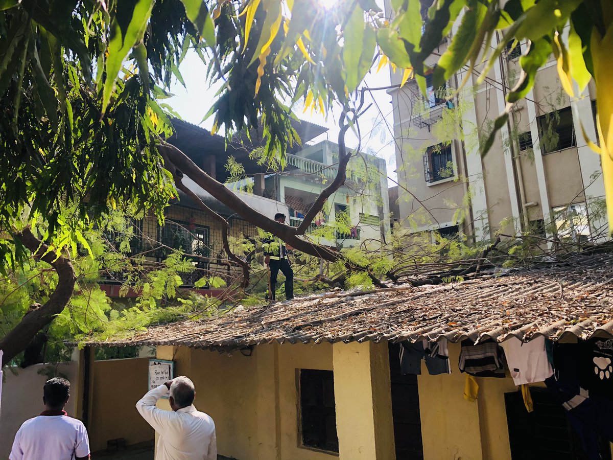 AgreRohini's tweet image. @NMMCCommr @NMMConline after multiple written complaints about the tree leaning in there were no action taken and today the same tree fell in our compound suddenly, our roof and gate has seen great loss and damage. Fire dept is already on site.