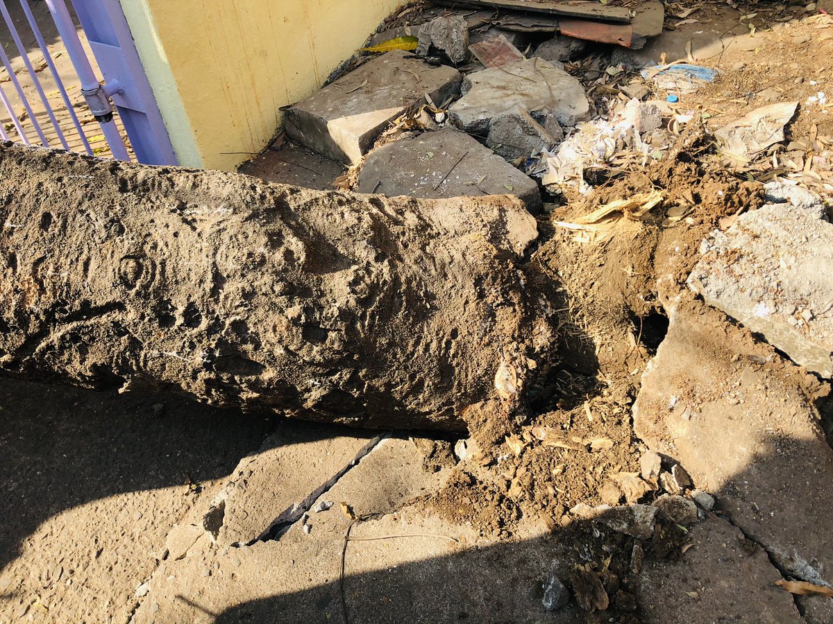 AgreRohini's tweet image. @NMMCCommr @NMMConline after multiple written complaints about the tree leaning in there were no action taken and today the same tree fell in our compound suddenly, our roof and gate has seen great loss and damage. Fire dept is already on site.