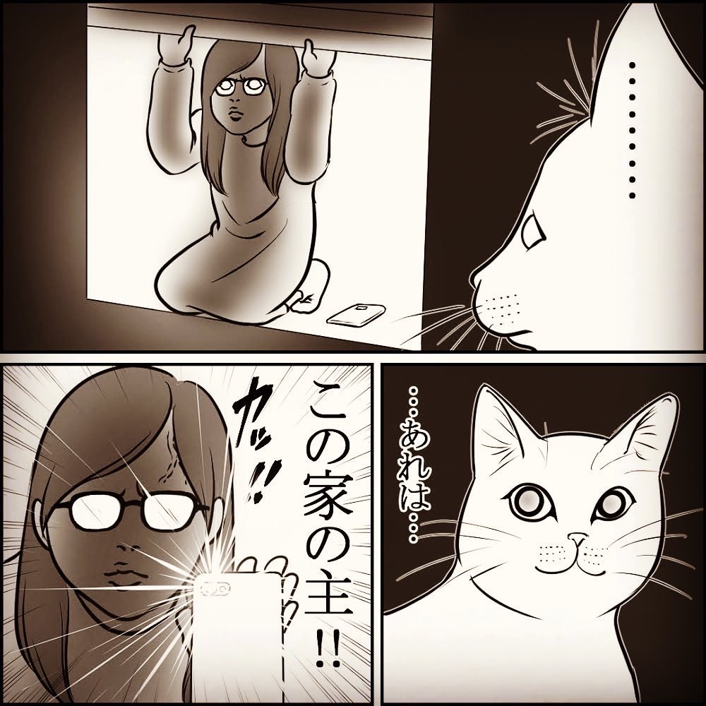 猫の糞に困っています。
#猫 