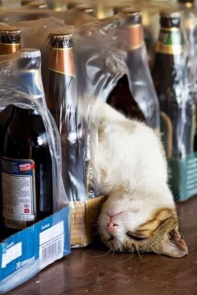 comedyloulou's tweet photo. Tip for the day - don’t do Yoga after a night of Prosecco (oh my) my body is saying thank you. My head is saying WHY? #hungover #sunday #sundaymorning #yoga #yogaafter #tabletoppose #itseemedlikeagoodideaatthetime #gosh #haventdrinkinages #leftoverchristmasbooze 🧘‍♀️ https://t.co/RYkGuR7G7E