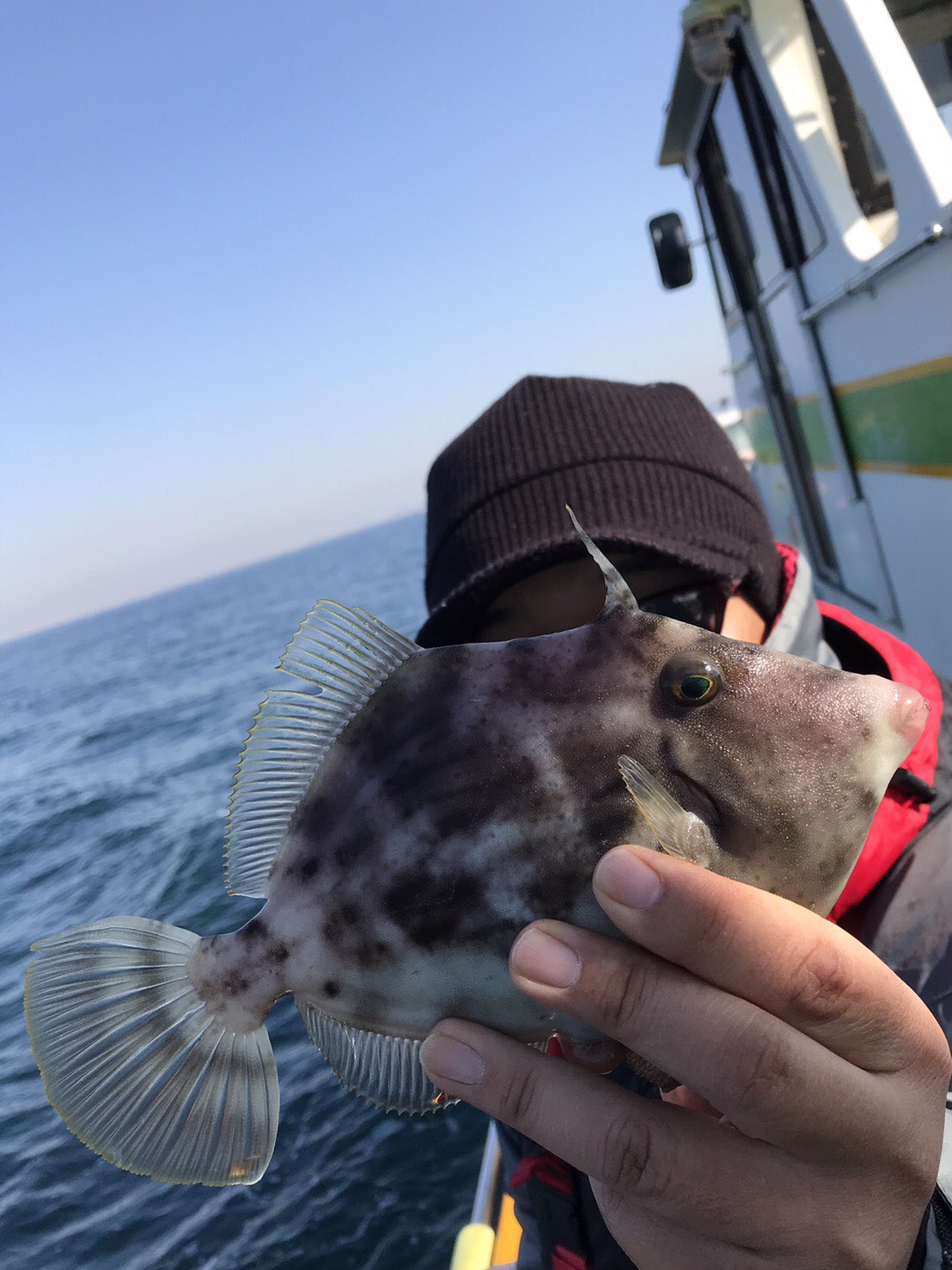 伊藤遊船 カワハギの釣り場 気温4 15 北 南西風4m 7m 水温15 潮は澄み では釣果をどうぞ カワハギ ポイント 竹岡沖10 30m サイズ 17 26 釣 果 0尾 10尾 竿 頭 吉川様 食い浅く バラシ多い カワハギ釣り を楽しんで頂いたお客様