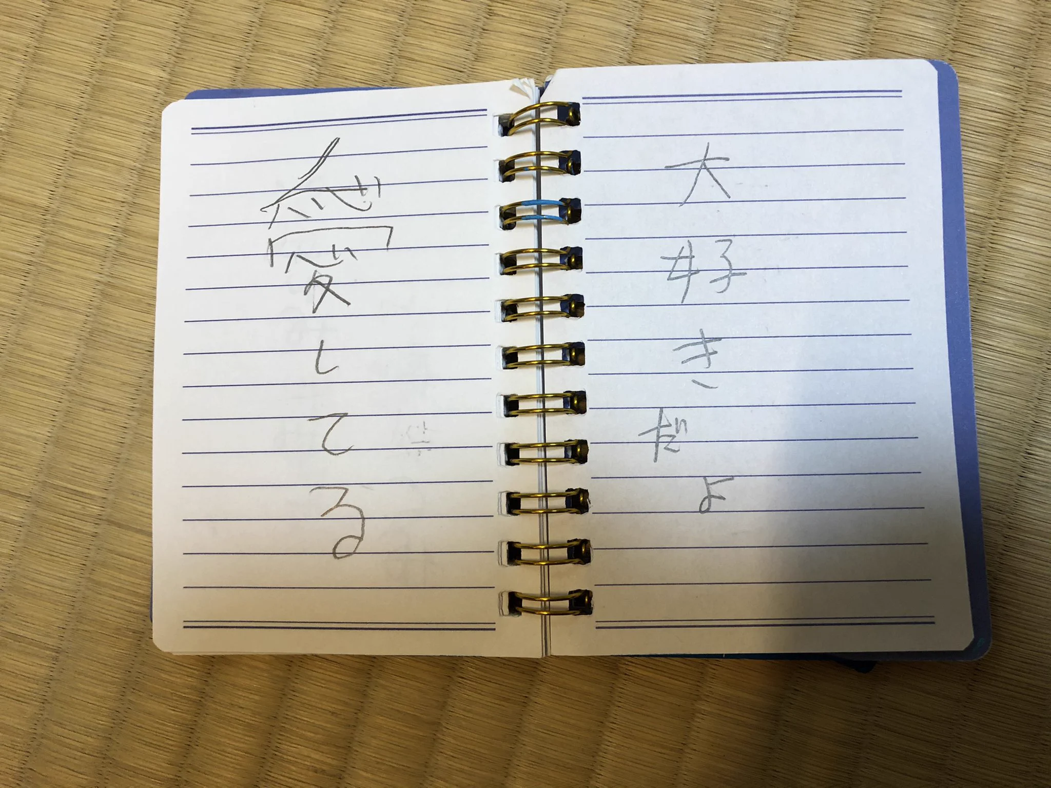 天国へ行ってしまった娘さん…メモ帳にお母さんへのメッセージを残してくれていた！