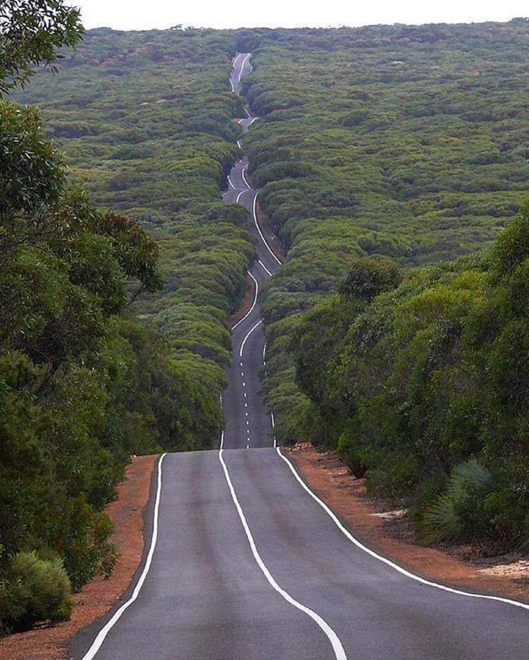 Endless Road 