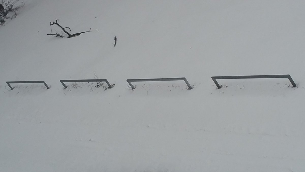 UlrikeFieback's tweet photo. #Flockdown in #Hannover #Schnee #Winter https://t.co/XGancbgnbO