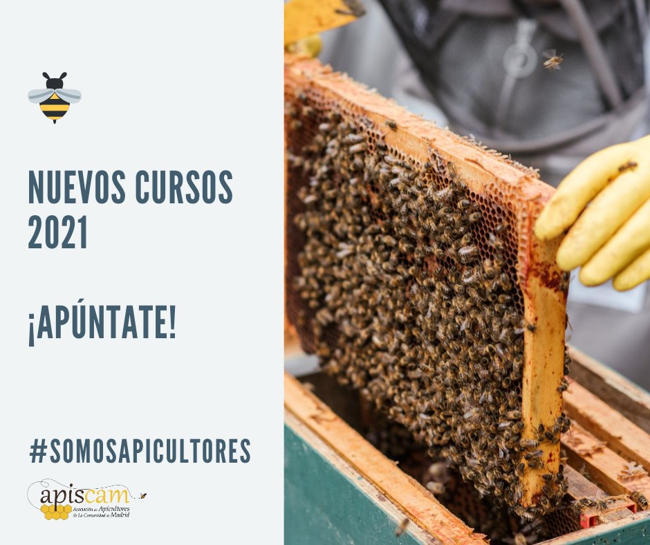 🆕 #CURSOS 2021: Ya tenemos aquí los nuevos cursos que hemos programado para 2021. 
👉 apiscam.org/area-de-socios…

Si quieres iniciarte en el mundo de la #apicultura o ampliar tus conocimientos, ¡APÚNTATE! 😉 

#abejas #formación #apicultor #Madrid