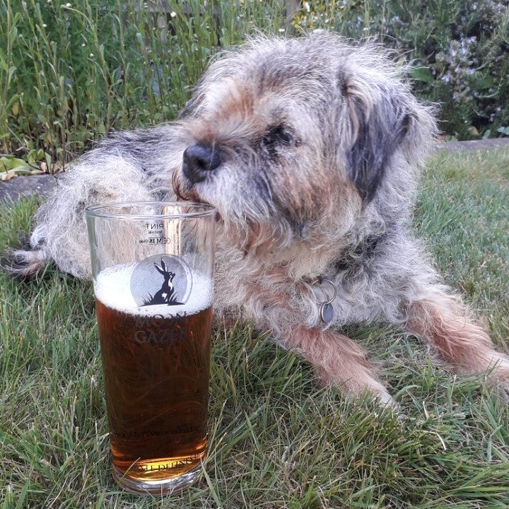 Moon Gazer Ale tweet media