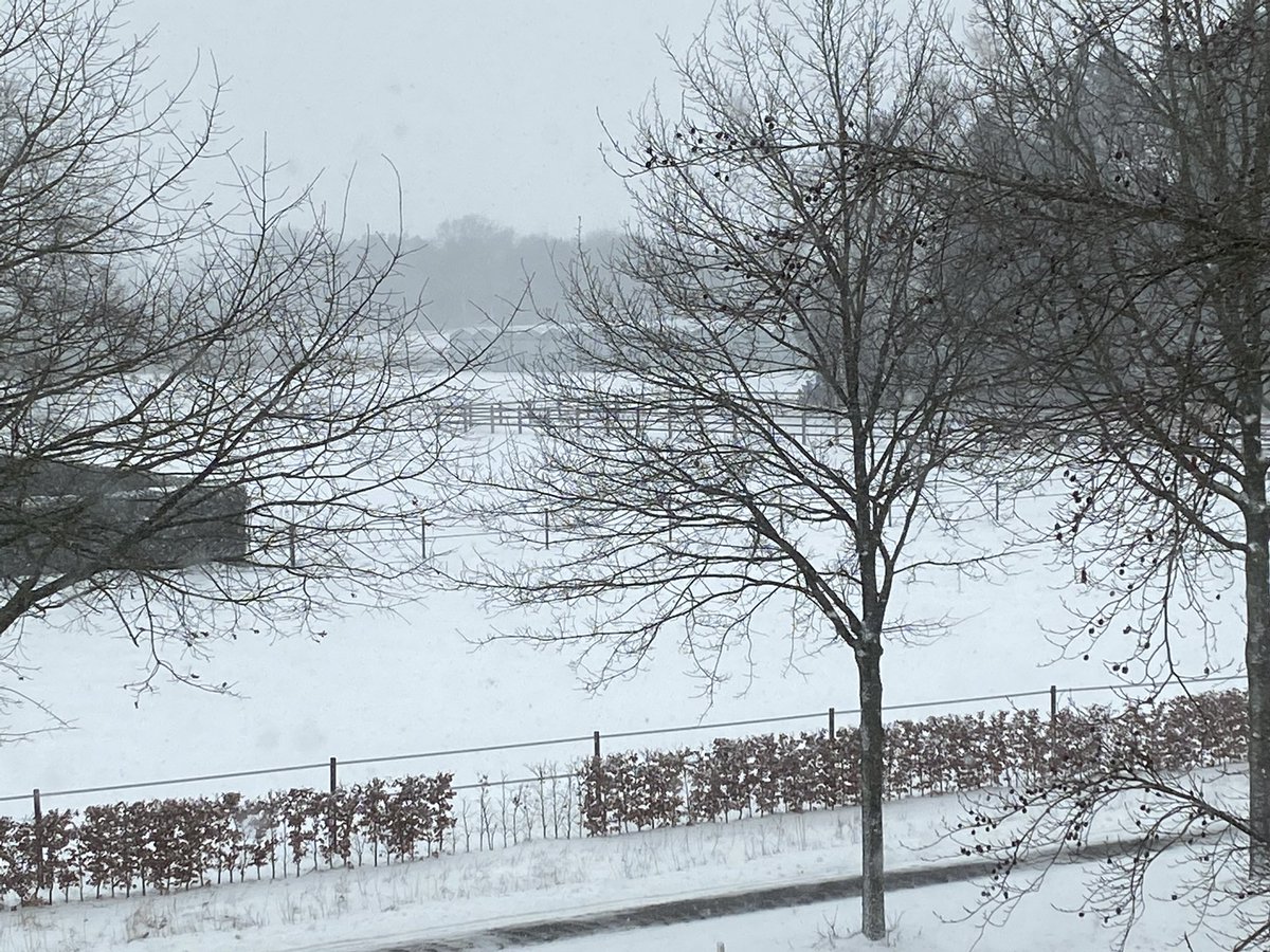 mpatist's tweet photo. @WoutdeVet In de verte #Gilze afgesneden van wereld https://t.co/O0lJaR4Xnx