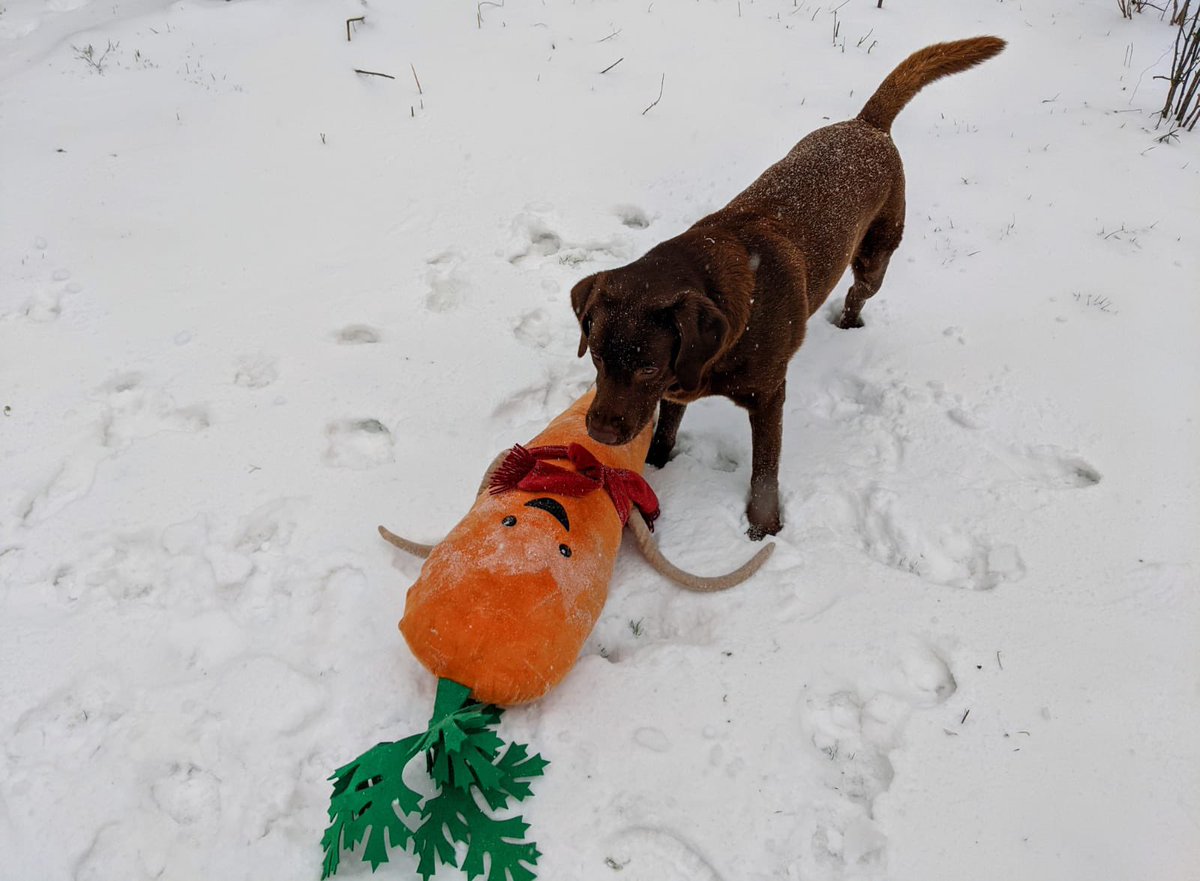 BuddyAndKevin tweet media