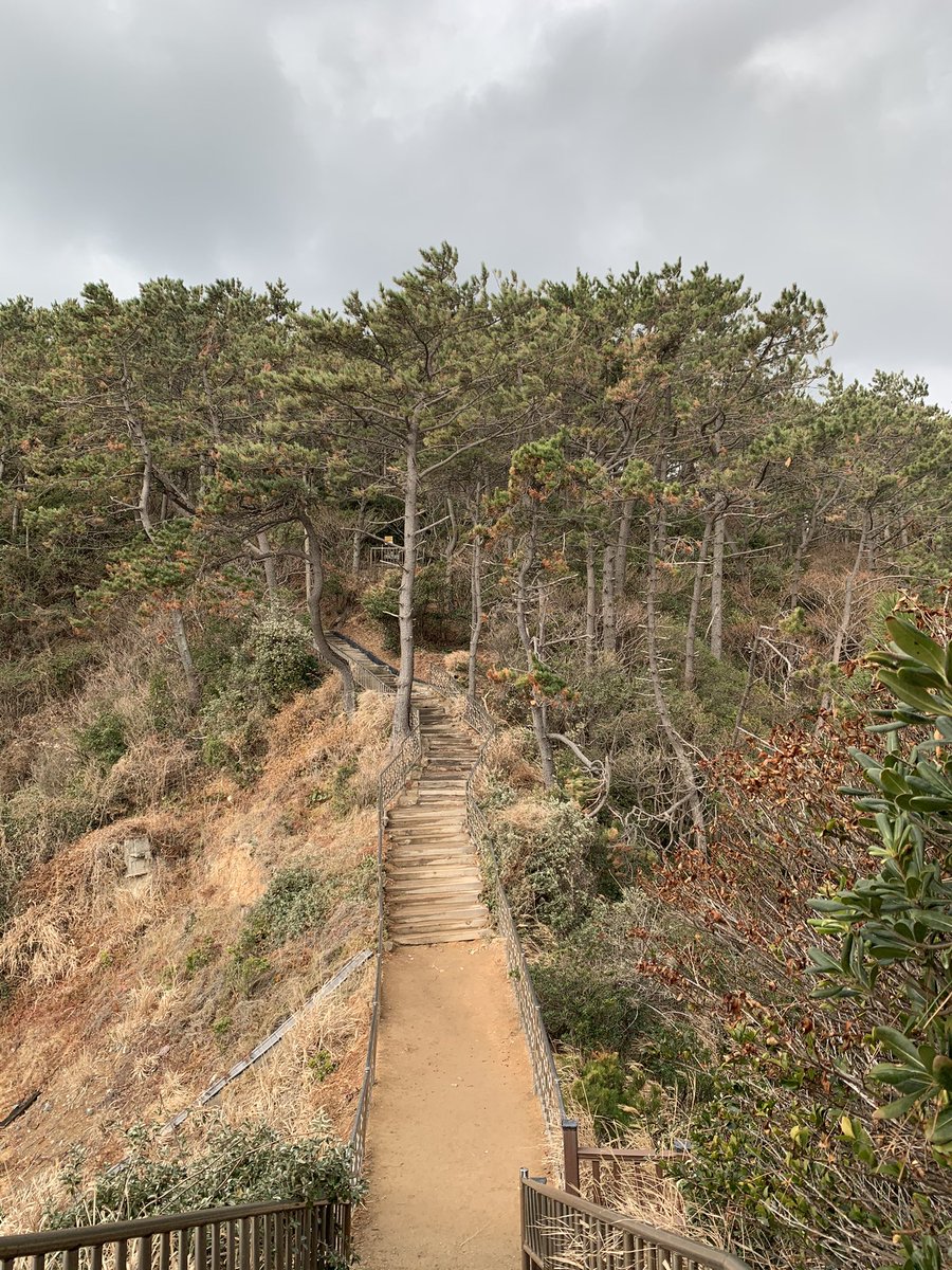 taengal1213's tweet photo. #sea 
#seaside 
#morundae 
Nice place to take a walk~👣
#dadaepo 
#dadaepobeach 
#busan 
#southkorea 🇰🇷
#yourshotphotographer
#traveler 
#backpacker 
#go_into_unknown 
#iphonexs https://t.co/2Q2yi8U3Gw