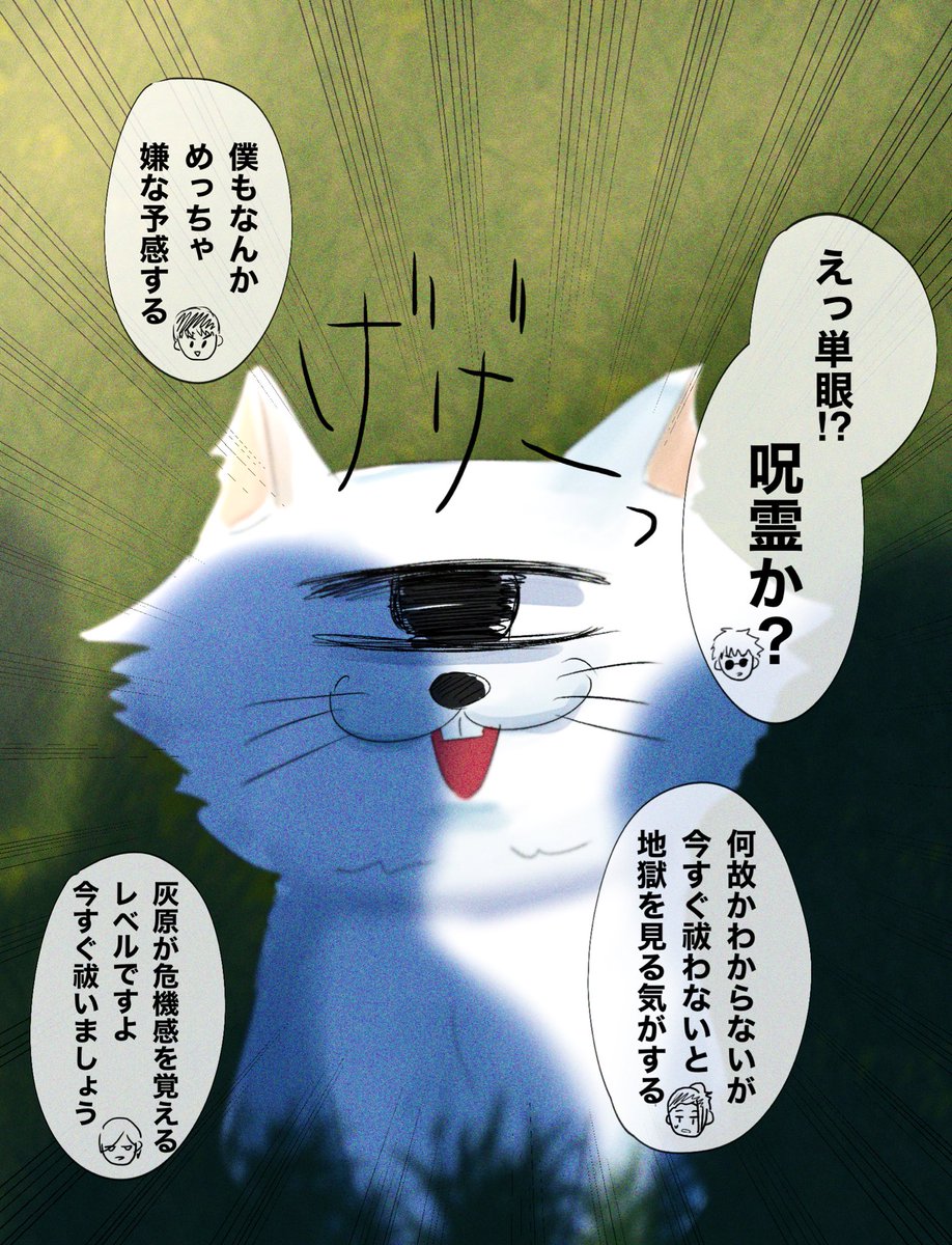 『 猫見つけた!!! 』 