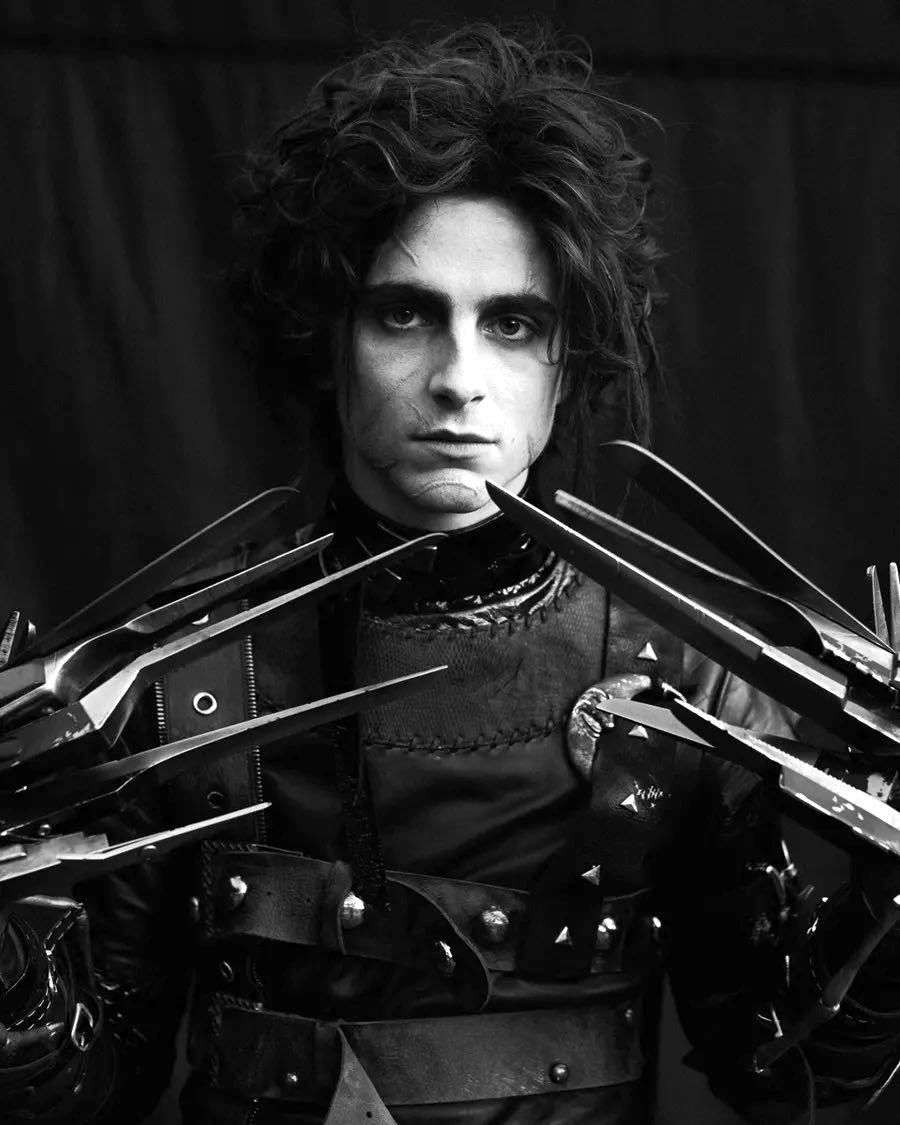 chasingchalamet's tweet photo. Timothée Chalamet styled as Edgar Scissorhands in a spread for Vogue. (📸 Julian Ungano, 2021) https://t.co/NIvSCXMkim