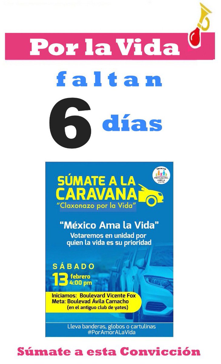 FNFVeracruz's tweet photo. Vamos todos #Veracruz y defendamos la #VidaYLaFamilia por un Mexico en paz https://t.co/SGZxPztxyB