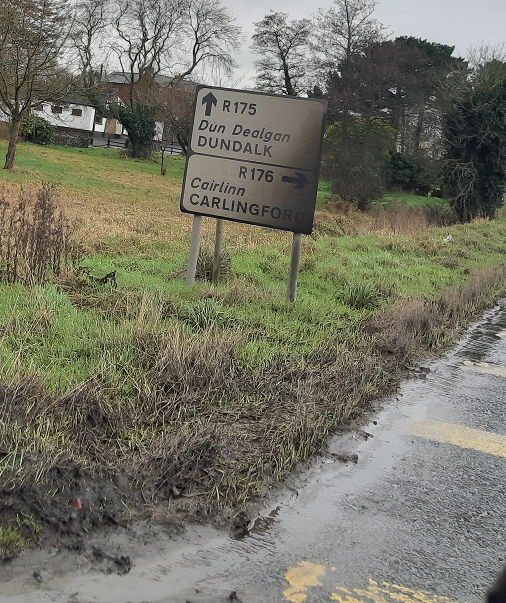 seanogcrudden's tweet photo. @cllrawatters @DundalkDemocrat @LMFMRADIO @argusnews @CarlingfordIRE @DundalksNews @DundalkFM @Dundalk_Leader Litter (aka muck) dumped by port traffic will soon obscure the signage to Carlingford which is particularly useful for folks arriving on the Ferry. 

Surely, dealing with litter where the source is know would be a quick win. 

This is very unsightly for locals and tourists. https://t.co/SJKzgJ0yFZ