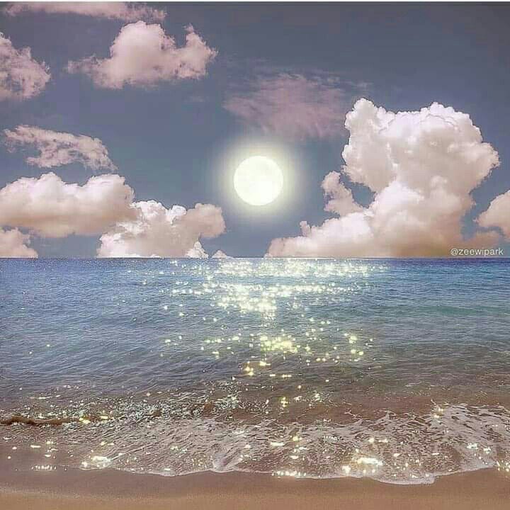 #صورة_ملف_شخصي_جديدة
اصنع خيراً، لأنه الشيء الوحيد الذي لا يمُوت حين تغيب ❤️