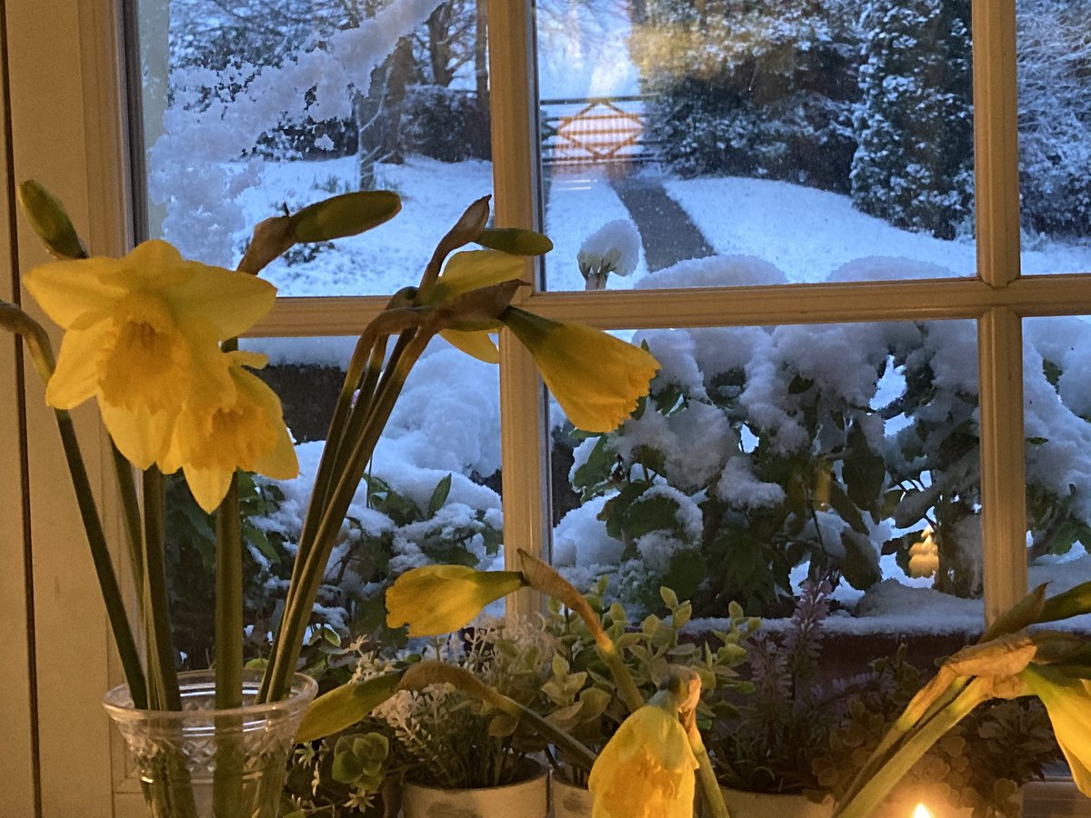 Loads of snow here in Kent today. So drinking tea and looking out of the window. #kentsnow