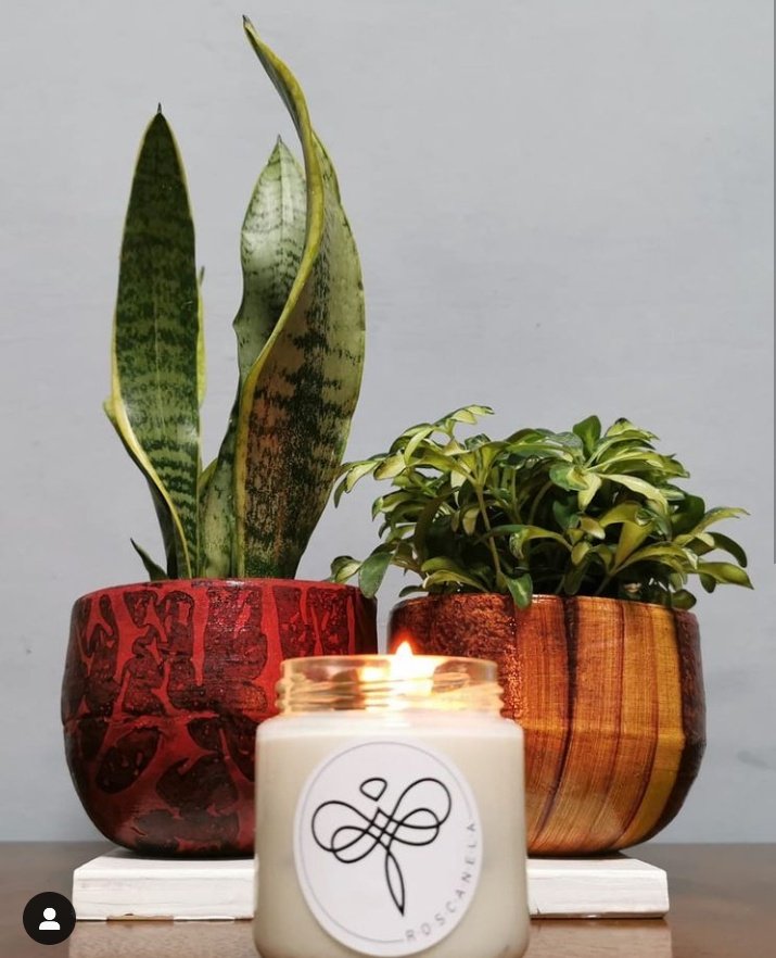 La Colonia Juárez tweet media