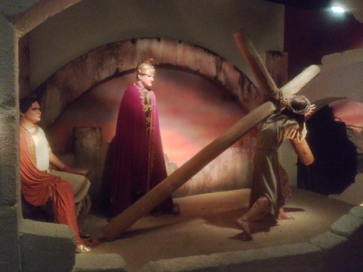 Shasta (@shasta22280543) on Twitter photo 