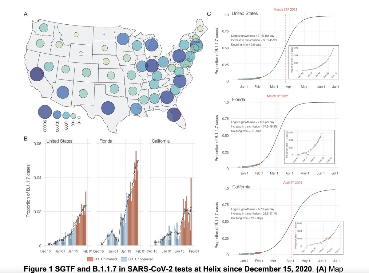 9. Preprint today on B.1.1.7 shows current US spread and forecasting of how the patchwork will play out, calls for immediate and decisive action https://www.medrxiv.org/content/10.1101/2021.02.06.21251159v1.full.pdf  @K_G_Andersen  @my_helix  @illumina and by  @JoelAchenbach  @PostHealthSci  https://www.washingtonpost.com/health/ukvariant-coronavirus-us-spread/2021/02/07/a197dbc2-680a-11eb-8468-21bc48f07fe5_story.html
