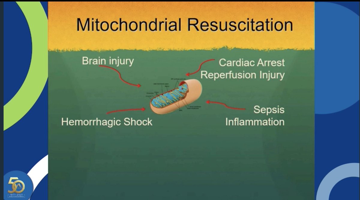 Nadkarni: mitochondrial resuscitation, how we can improve the function of these organelles that are crucial to survival and repair of cells  #CCC50  #PedsICU