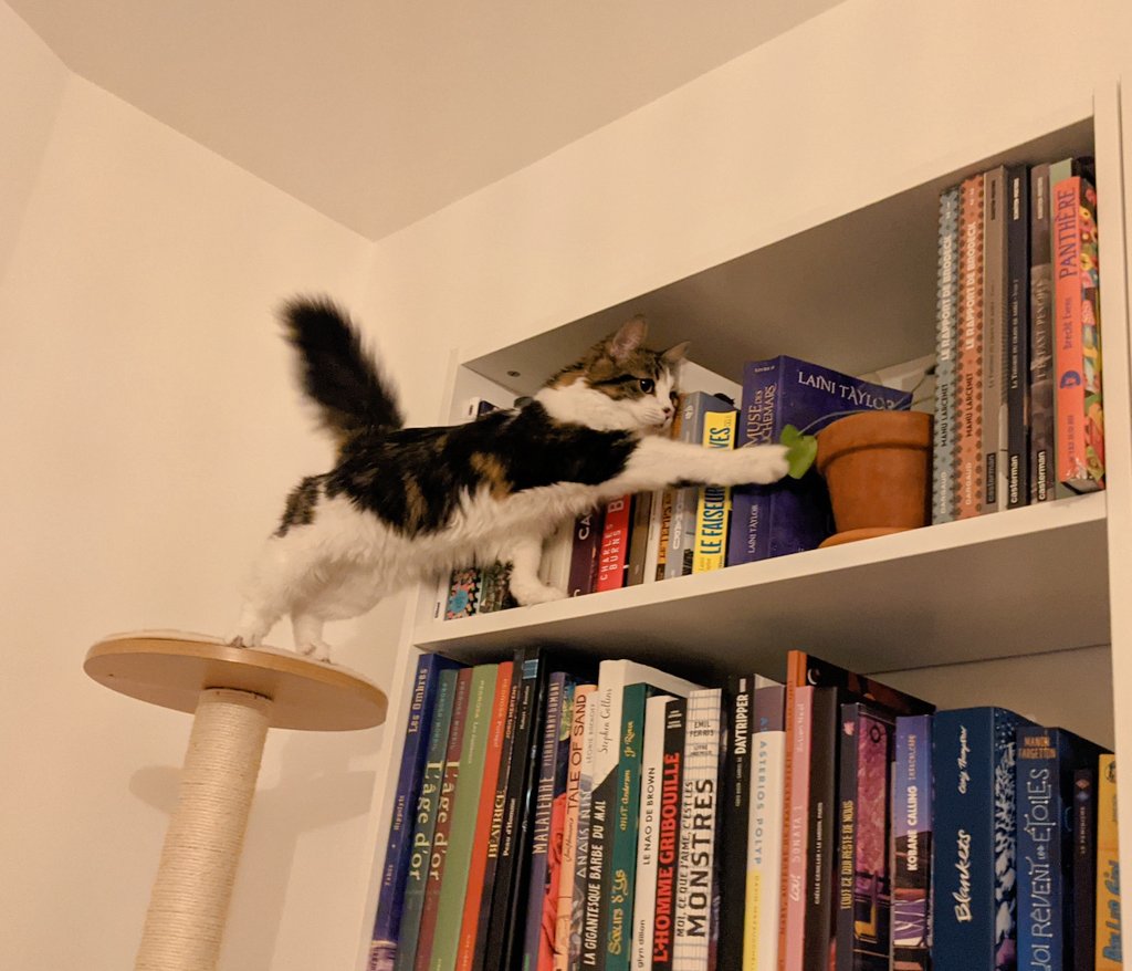 Baslespatounes's tweet photo. S'ils croient que c'est comme ça qu'ils vont m'empêcher de chardiner, ils se trompent ! 😾 https://t.co/tBCSI8pAXF