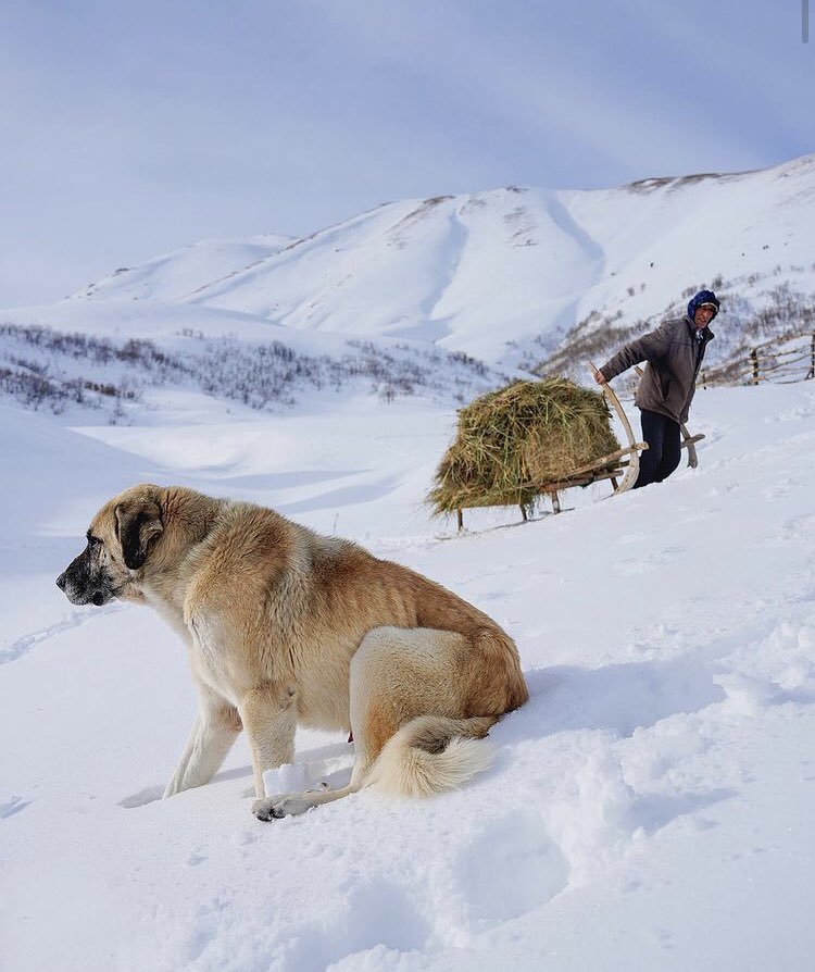 Yedisu, Bingöl 📷 Kenan Nihat Elçi