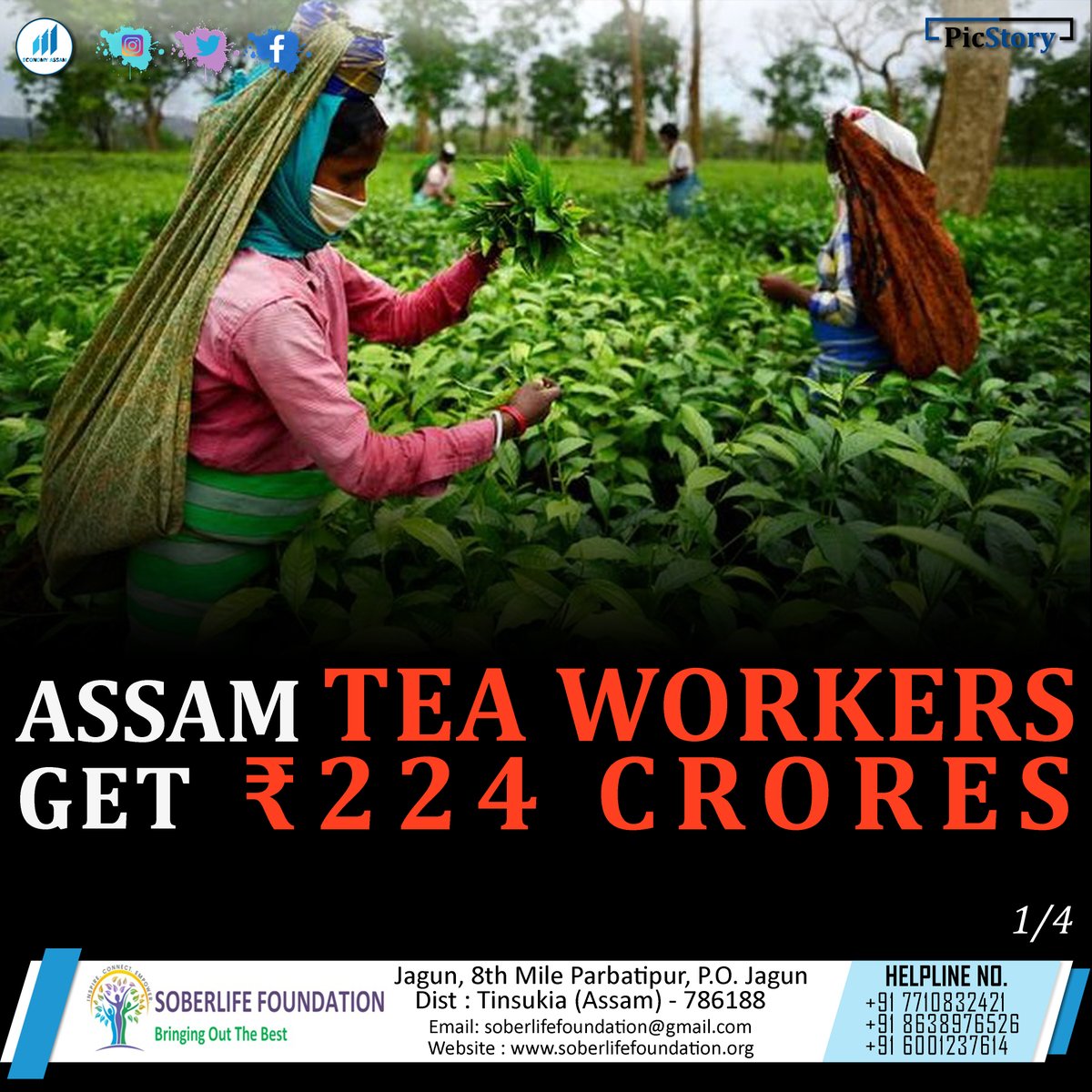 AssamEconomy's tweet image. Assam tea workers get Rs.224 Crores

#PollPromises #AssamPolls #2021Elections #ElectionCampaigns #AssamTeaWorkers #AssamTea #EconomyAsam #picstory