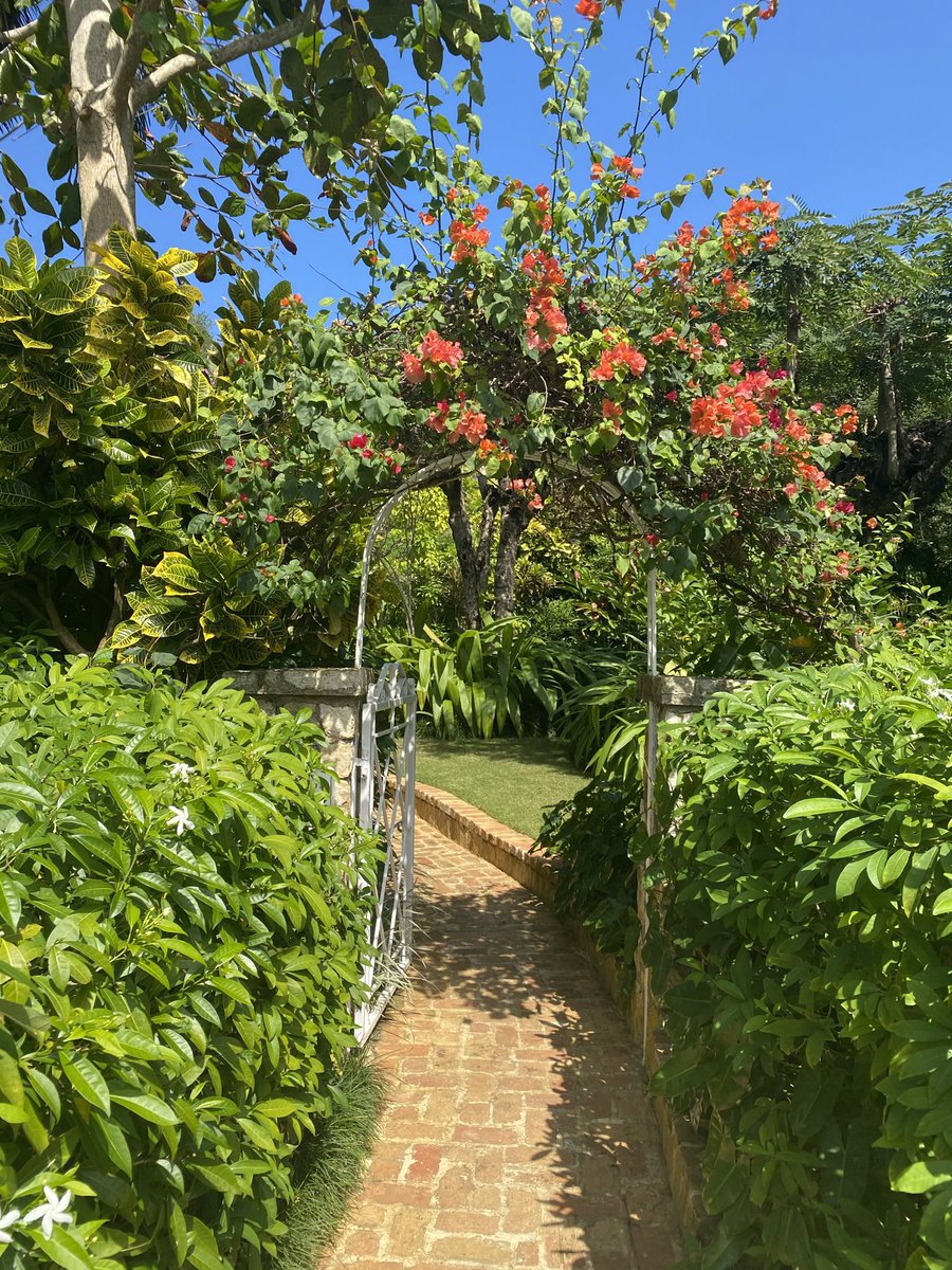 LaTosha Brown tweet media