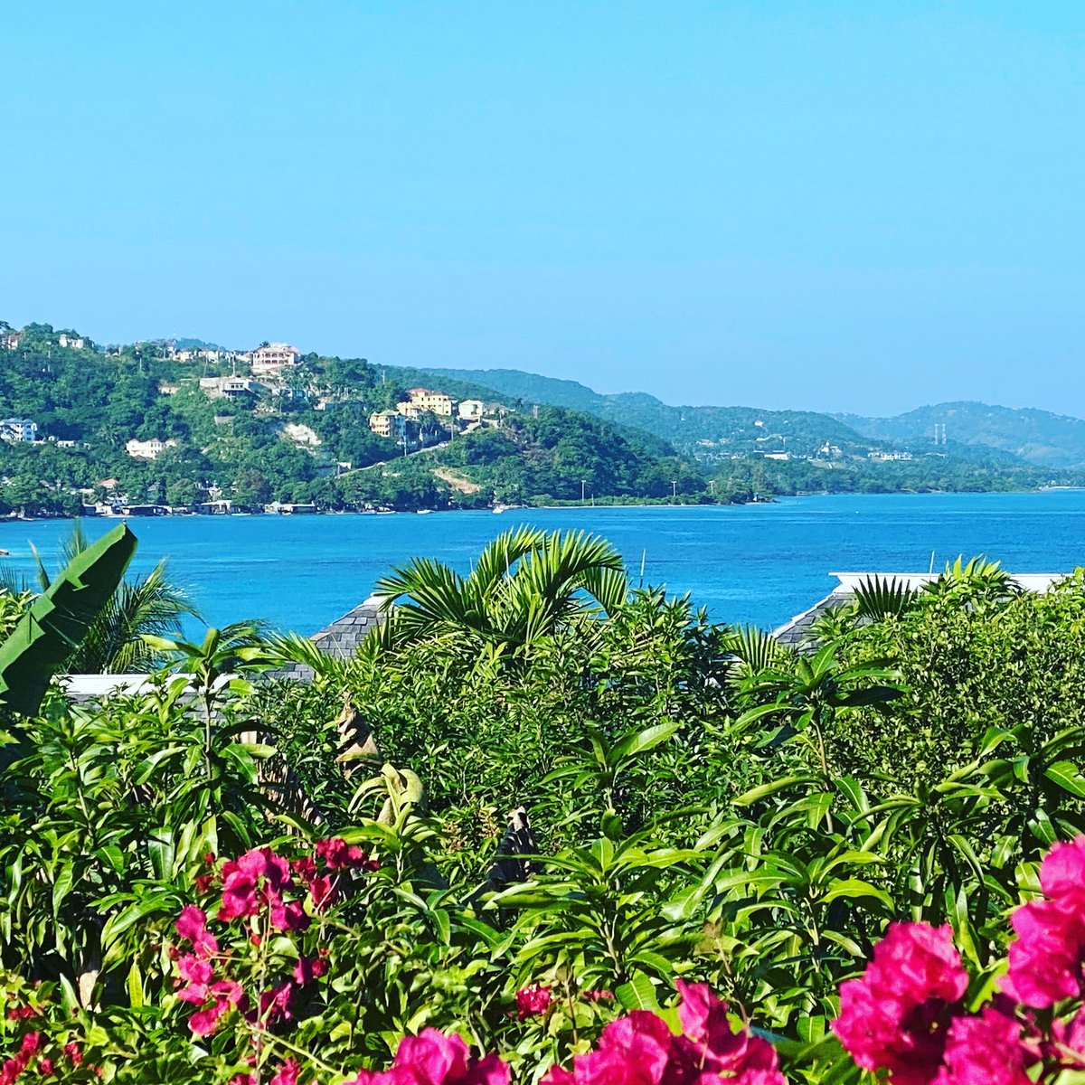 LaTosha Brown tweet media