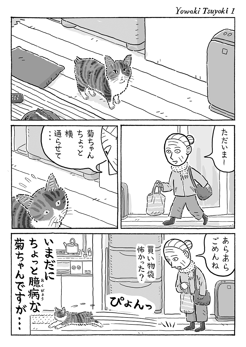 2ページ猫漫画「弱気で強気」 #猫の菊ちゃん 