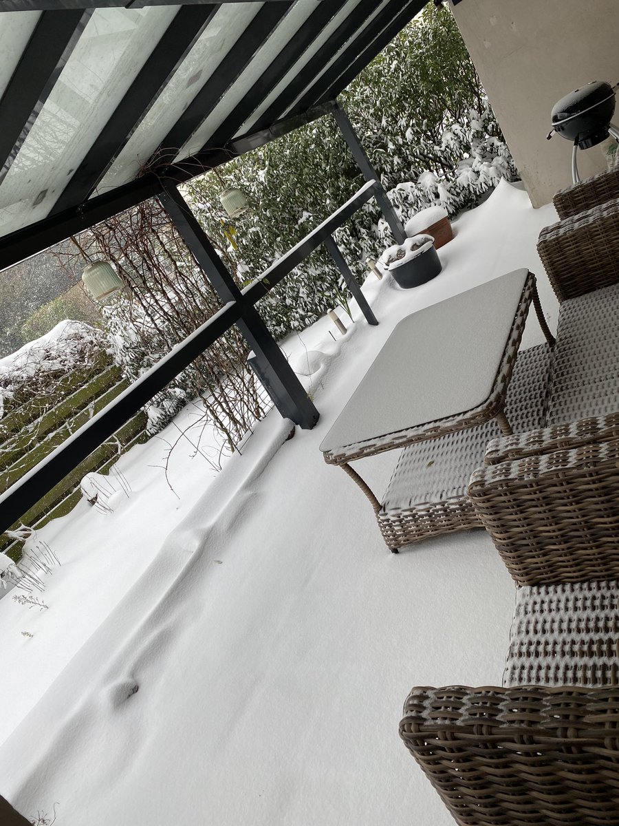 Winter is back...🥶🥶❄️❄️