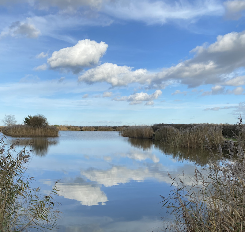 Lockdown Diary – Nothing much about (cont...) - grumpyoldbirder.com/nothing-much-a…  ['Subscribing' to Grumpy Old Birder posts is very easy... complete the form on the right of the blog post and click the confirm link which is sent so you won’t miss a post.]