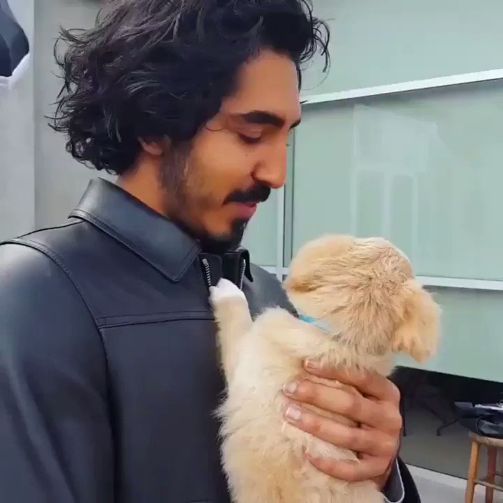 dev patel with dogs, a short but necessary thread <3