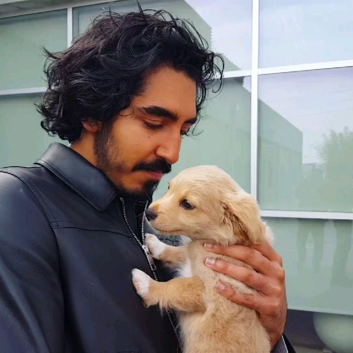 dev patel with dogs, a short but necessary thread <3