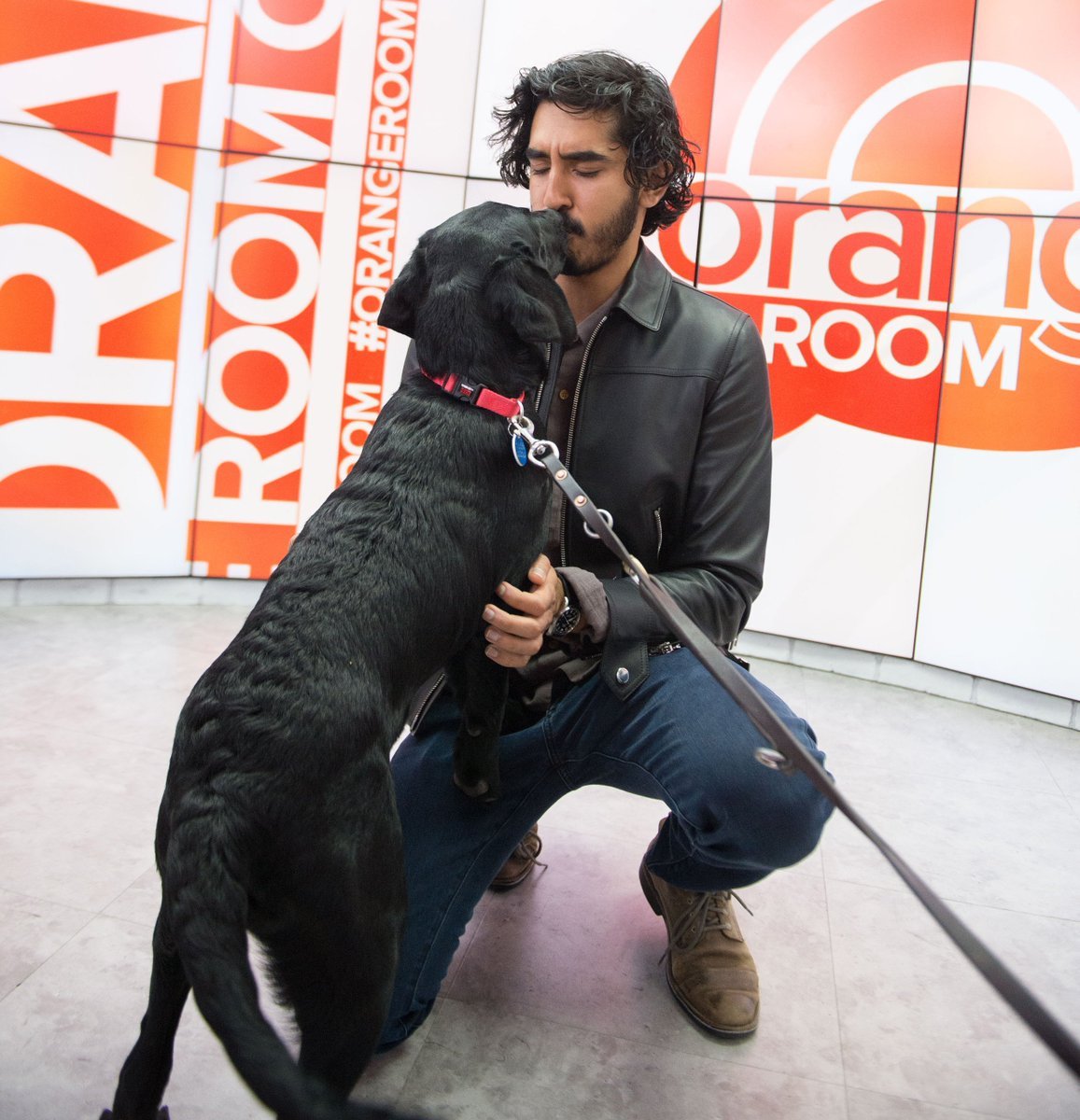 dev patel with dogs, a short but necessary thread <3