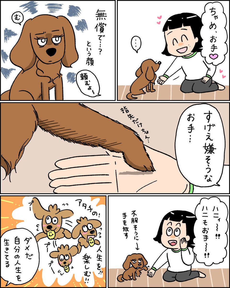 いつ媚びを売れば良いか知ってる犬 