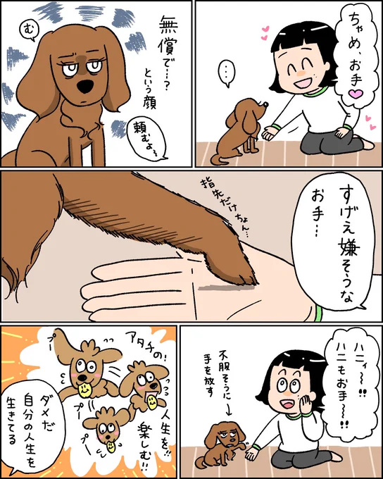 いつ媚びを売れば良いか知ってる犬 