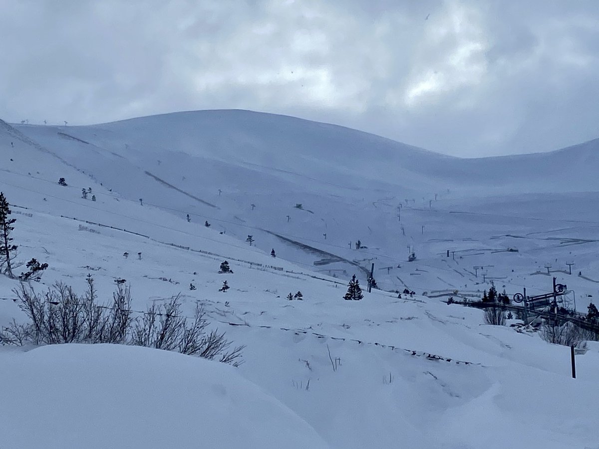 Highland Defenders tweet media