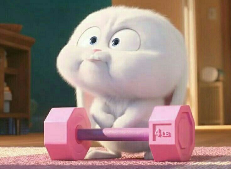 miss_svtmafia's tweet photo. snowball and jeonghan workout besties!!! https://t.co/P3iJdGAxHM