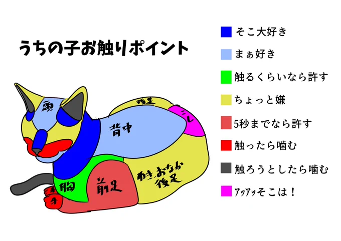 うちの猫、触らせてくれるところ、こんな感じ 